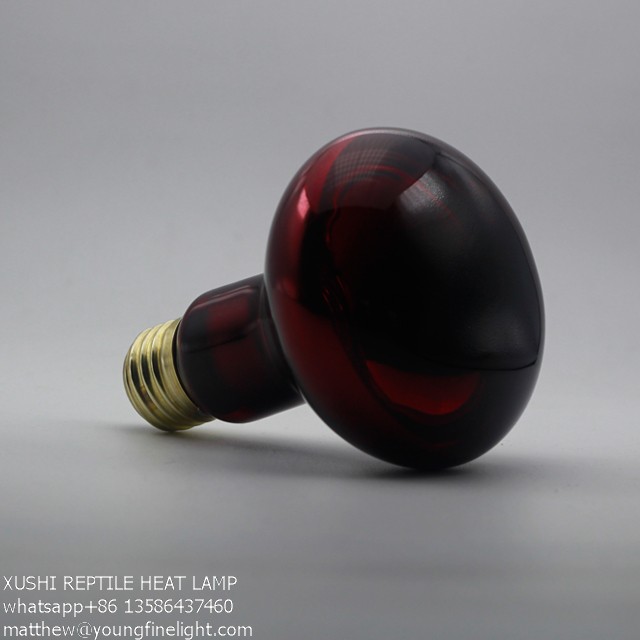 Reptile Infrared Heat Lamp R25 / R80 100W Reptile  Infrared Heat Bulb